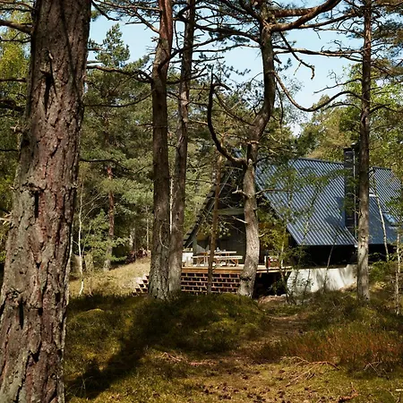 Elegant Designed A-frame House On Bornholm *