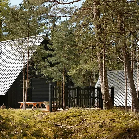 Elegant Designed A-frame House On Bornholm * Neksø