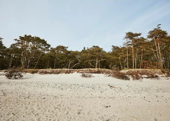 Elegant Designed A-frame House On Bornholm *