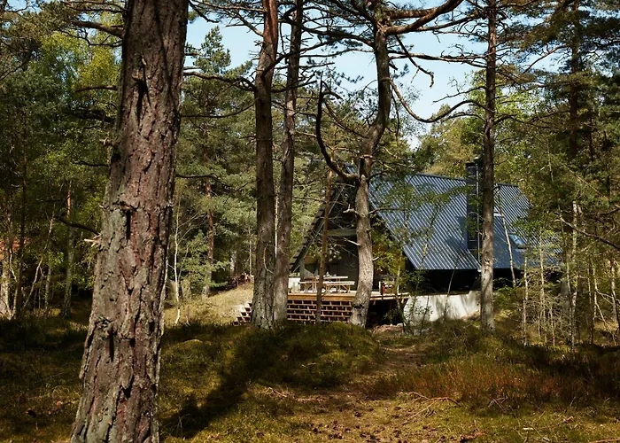 Elegant Designed A-frame House On Bornholm *