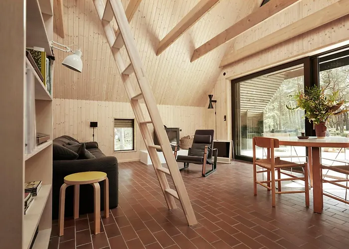 Elegant Designed A-frame House On Bornholm
