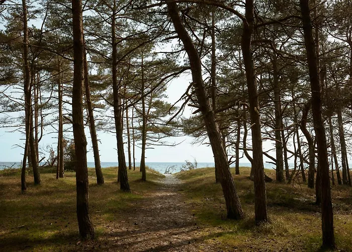 Elegant Designed A-frame House On Bornholm Сasa de vacaciones *