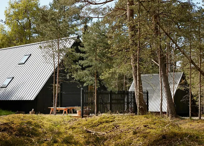 Elegant Designed A-frame House On Bornholm * Neksø